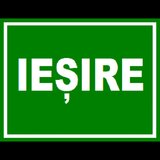 Placuta de iesire